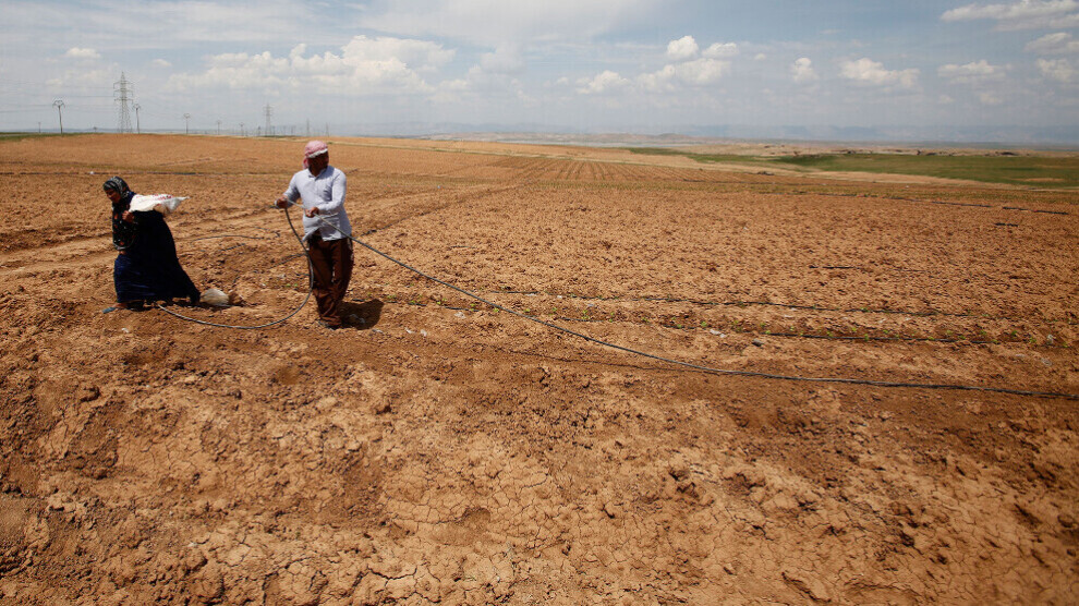 ANF | Agricultural land in Iraq becomes desert